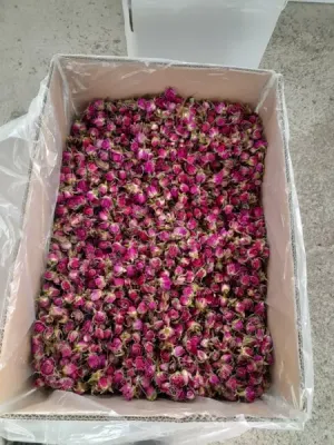 خرید و فروش خشکبار و گیاهان دارویی