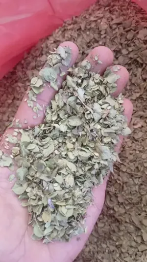 خرید و فروش خشکبار و گیاهان دارویی