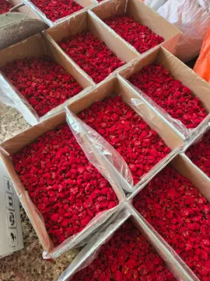 خرید و فروش خشکبار و گیاهان دارویی